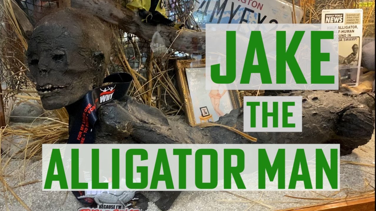 Jake The Alligator Man At Marshes Free Museum
