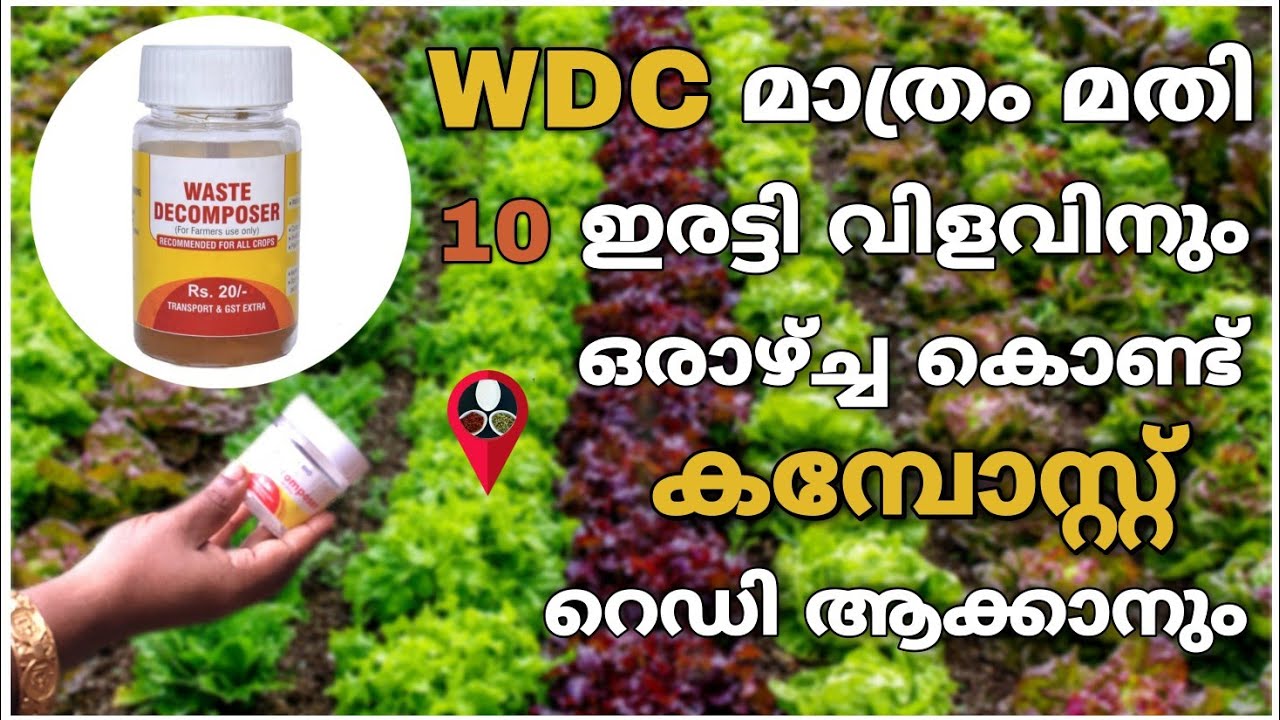 Waste Decomposer for compost making malayalam | krishi compost from farming cultivation | Prs krishi