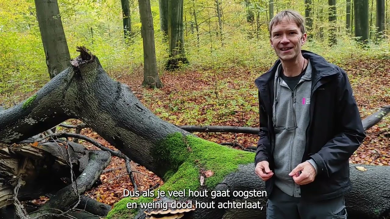 Stikstof & onze natuur - Deel 5: Kan intensief beheer de gevolgen van stikstofdepositie verminderen?