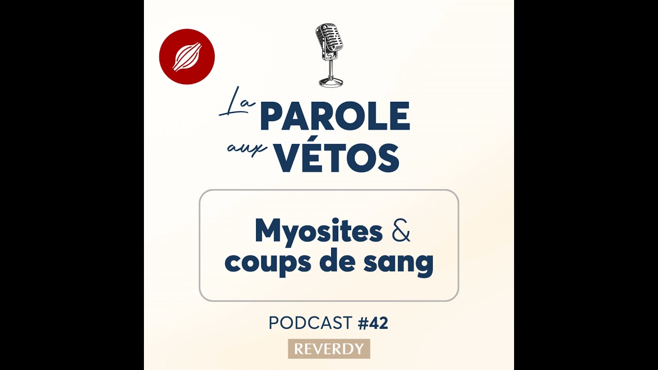 PODCAST REVERDY 💙 Myosites & Coups de sang