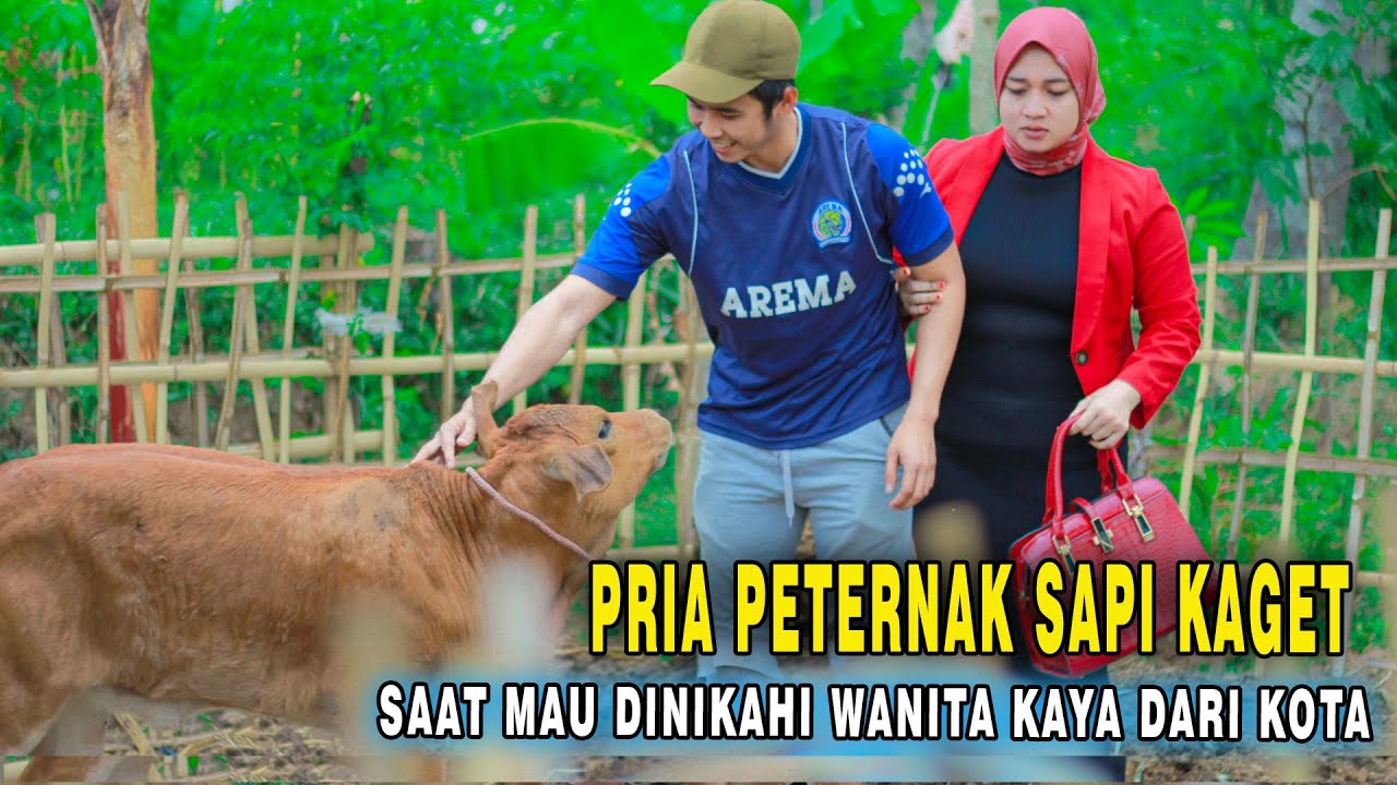 PRIA PETERNAK SAPI DINIKAHI ANAK KONGLOMERAT DARI KOTA YG DIKIRIM KE DESA KARNA DIHUKUM AYAHNYA ...!