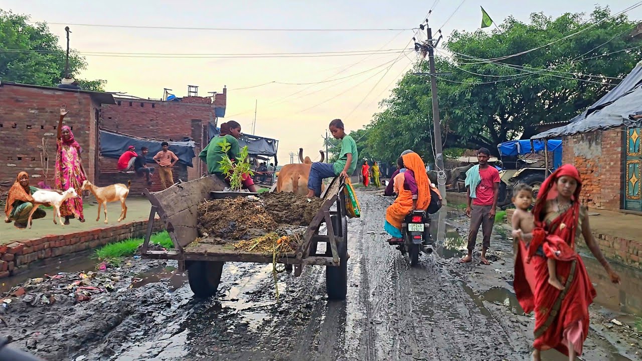 You will be stunned to see the road of India's village and the lives of the people there 🇮🇳🇮🇳
