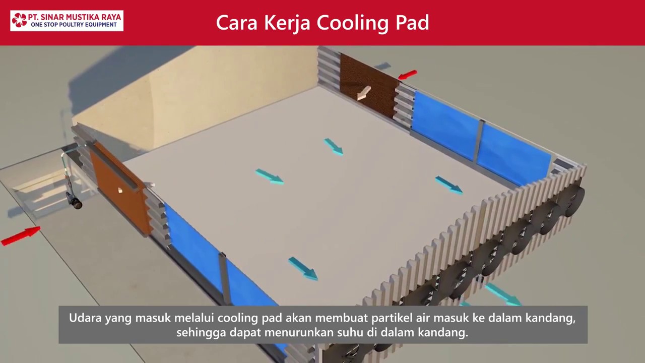 Visualisasi 3D untuk Solusi Peternakan Ayam Closed House System