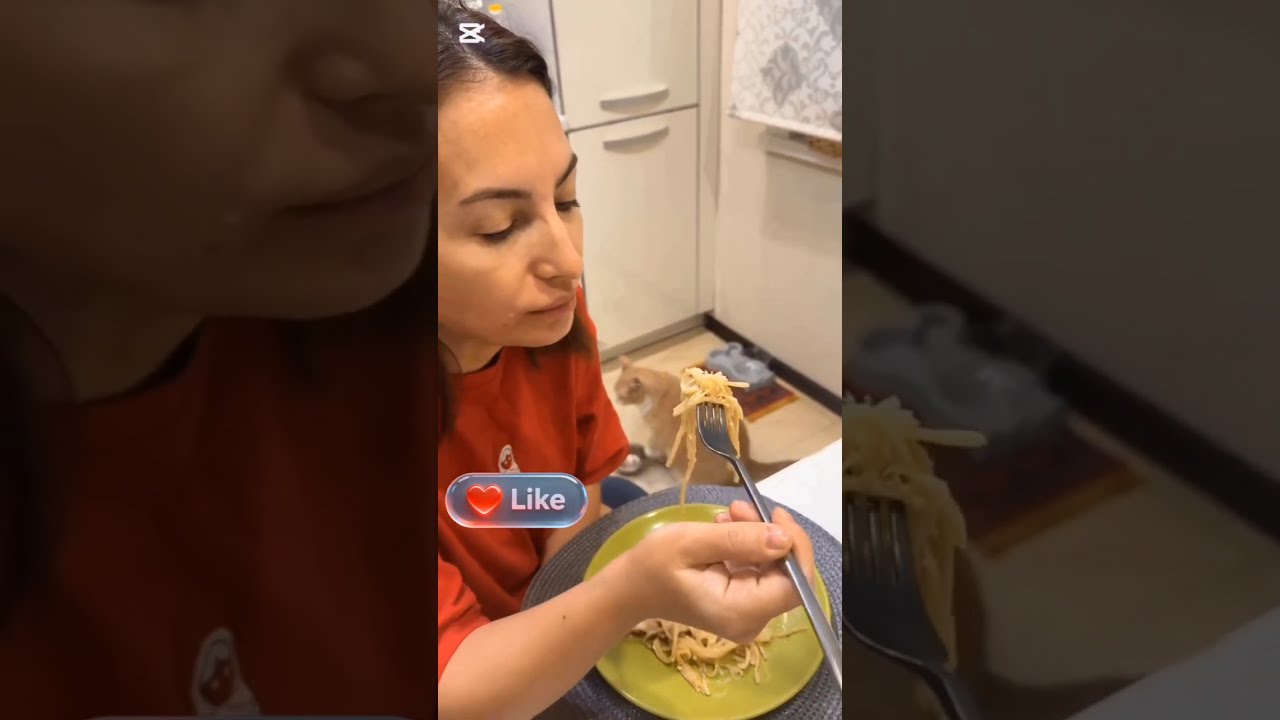 Приколы с котами Смеялся до слёз [2025]Funny cat's; Try  not to laugh Challenge 
