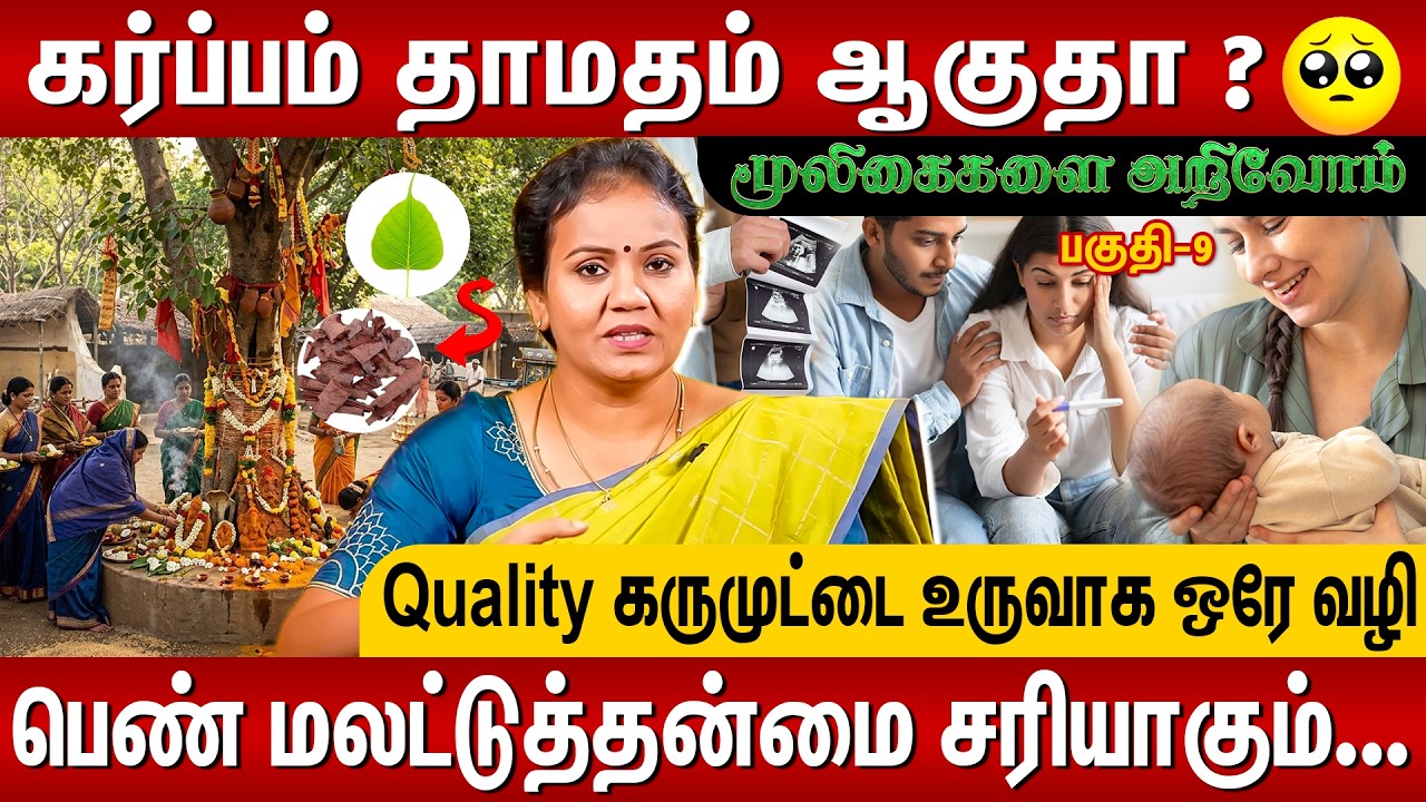 கர்ப்பம் தரிக்க முடியாமல் தவிக்கும் பெண்களுக்கு...அரச மரத்தின் அற்புத ரகசியம் 😱Female Infertility