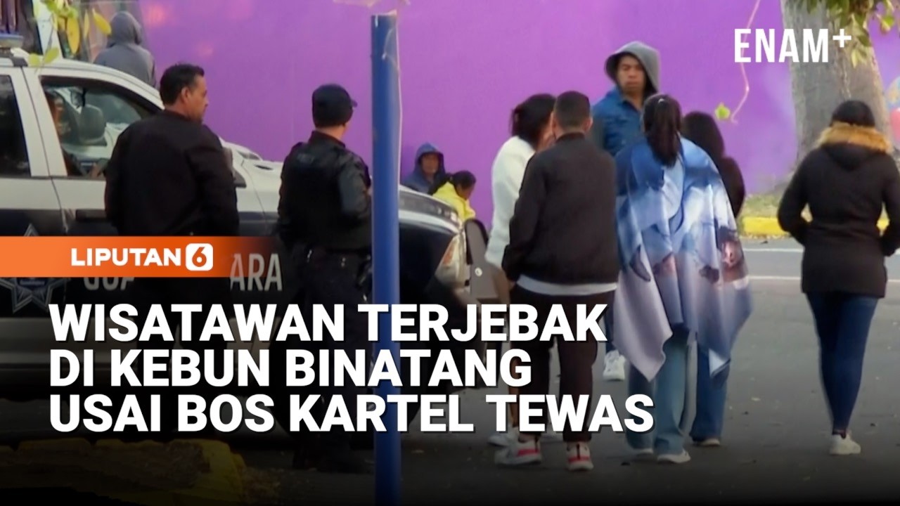 Lebih dari 1000 Wisatawan Terjebak di Kebun Binatang Usai Bos Kartel Tewas | Liputan6