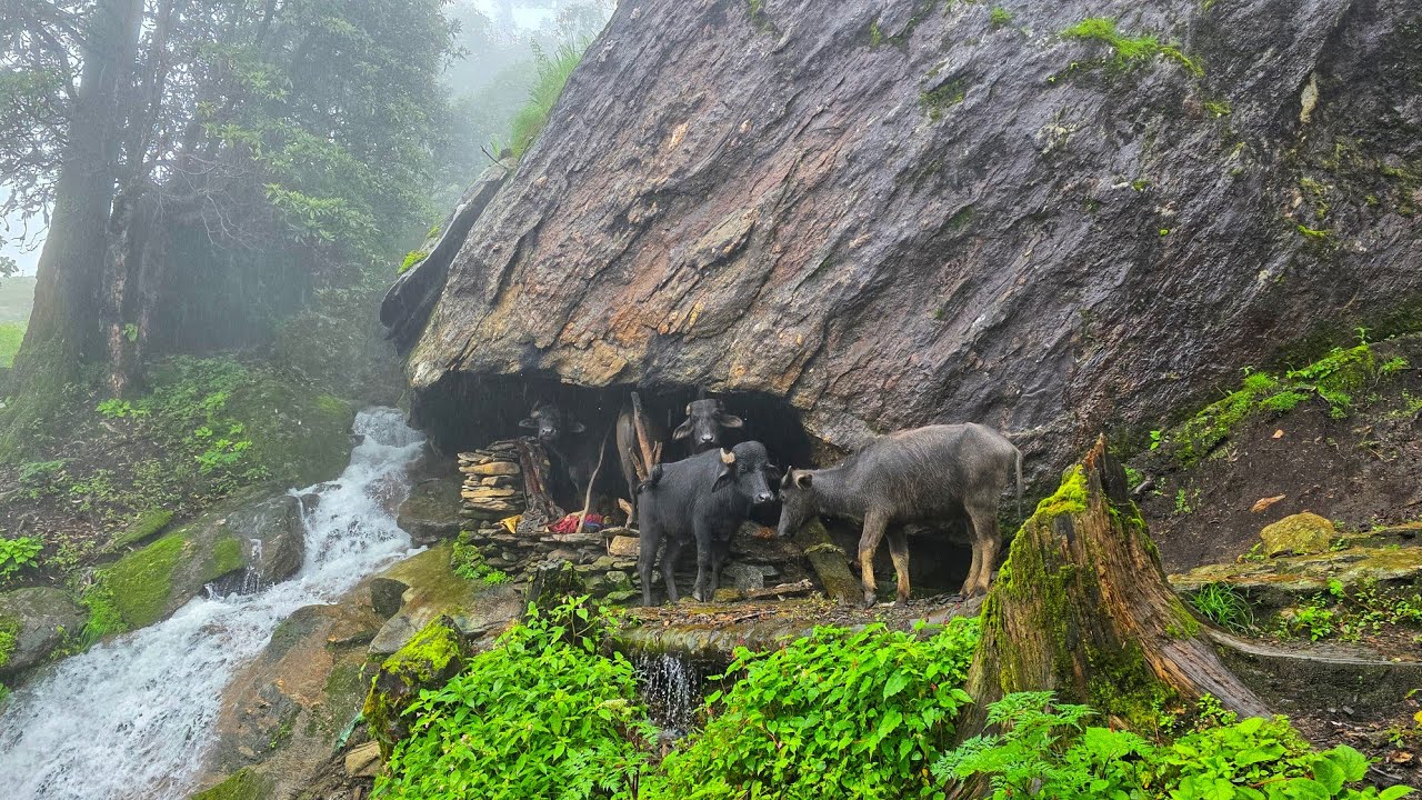 Best Life in A Nepali Mountain Village During the Rainy season | How People Live in Nepal With Rain
