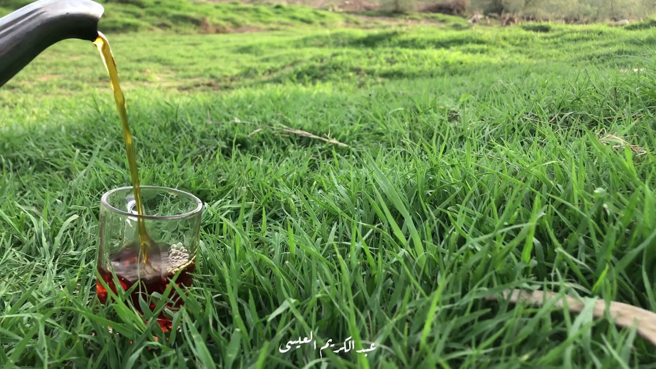جوله عصرية ممّتعة على منتزة المرّبع