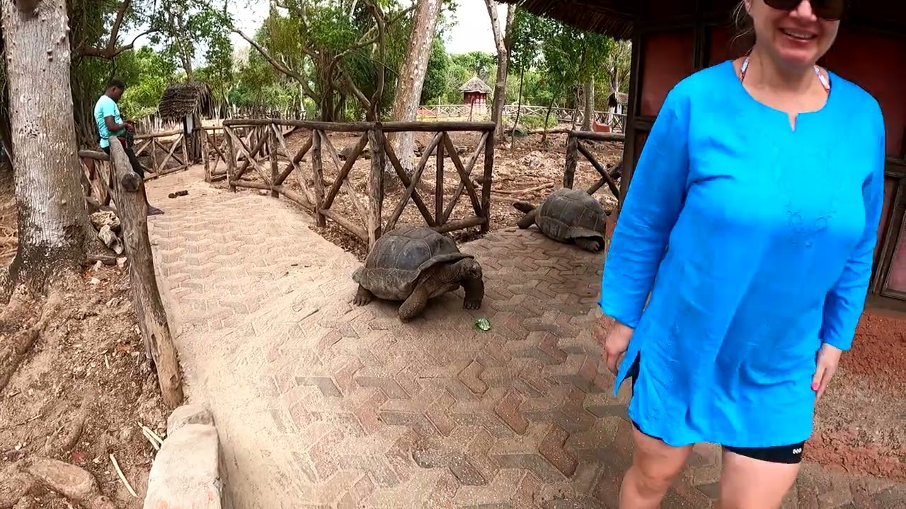 Zanzibaras
