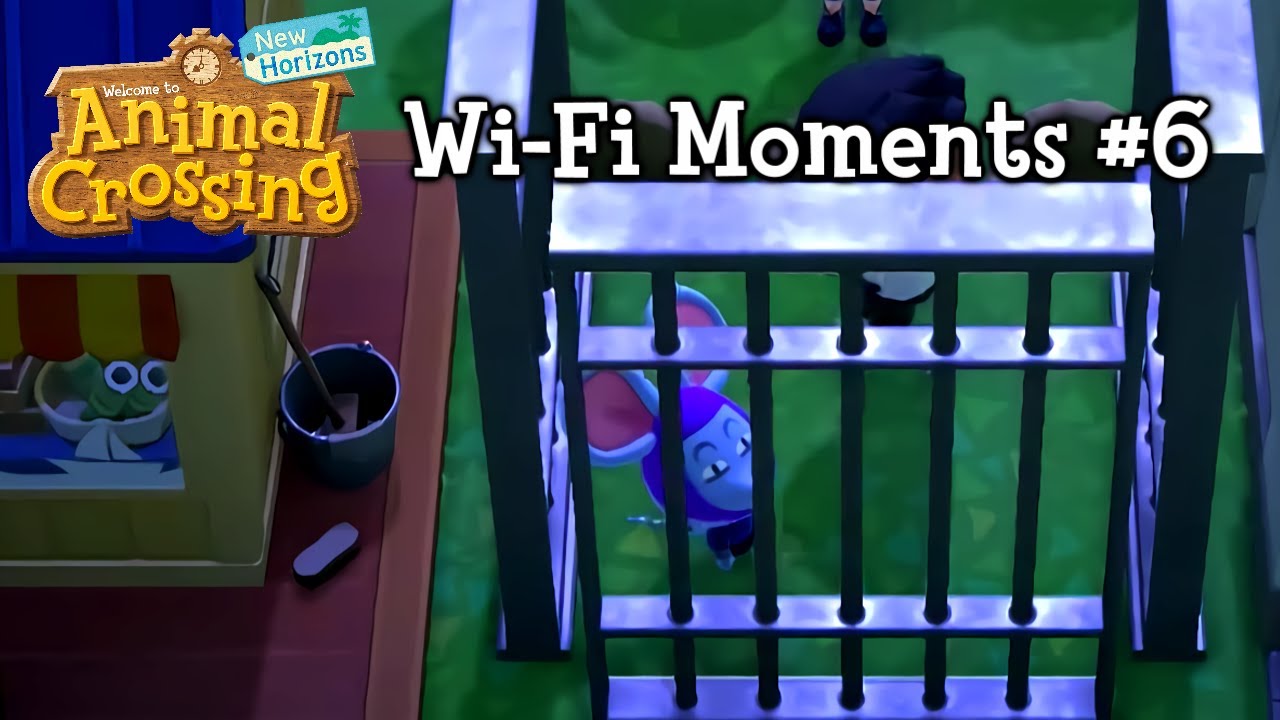 Wi-Fi Moments #6 / Animal Crossing: New Horizons