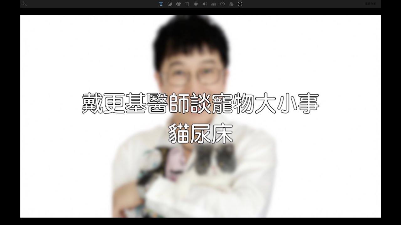 【動物行為】貓尿床