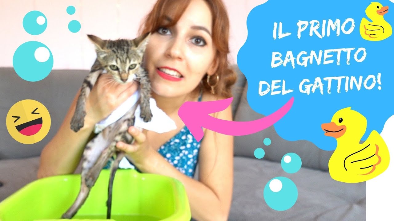 IL PRIMO BAGNETTO DEL GATTINO! *che tenerezza!*