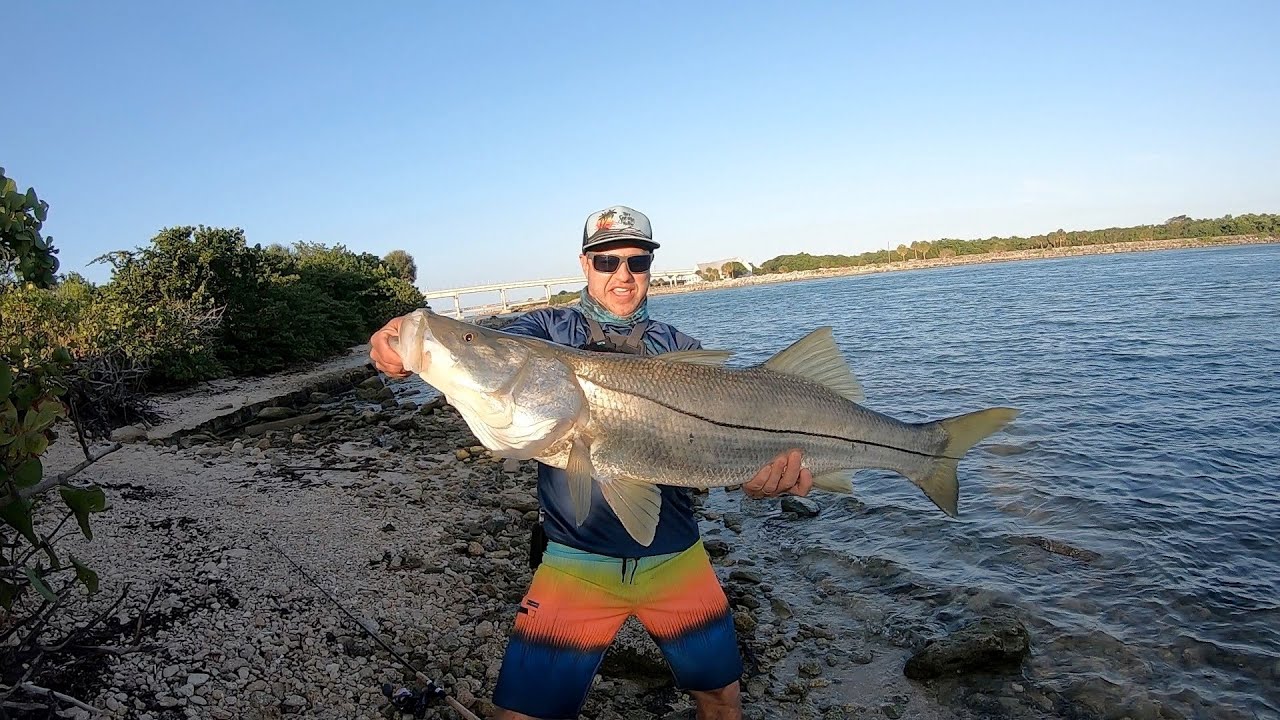 Buen Robalo a la Viva