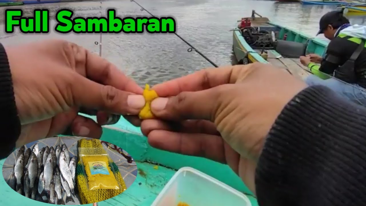 MANCING IKAN BELANAK KETIKA AIR SURUT | HASILNYA MENAKJUBKAN | MULLET FHISING