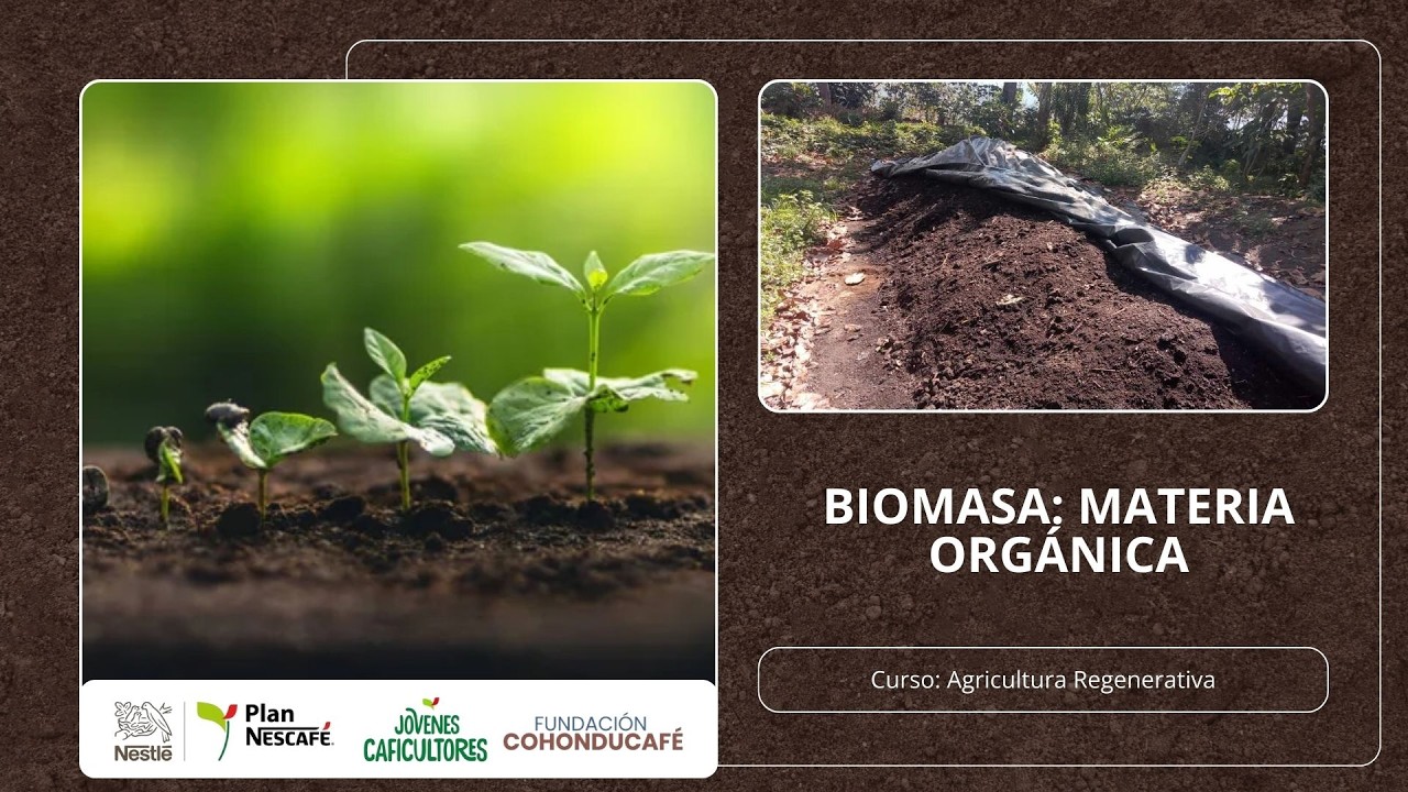 Clase 3: Biomasa; Materia Orgánica