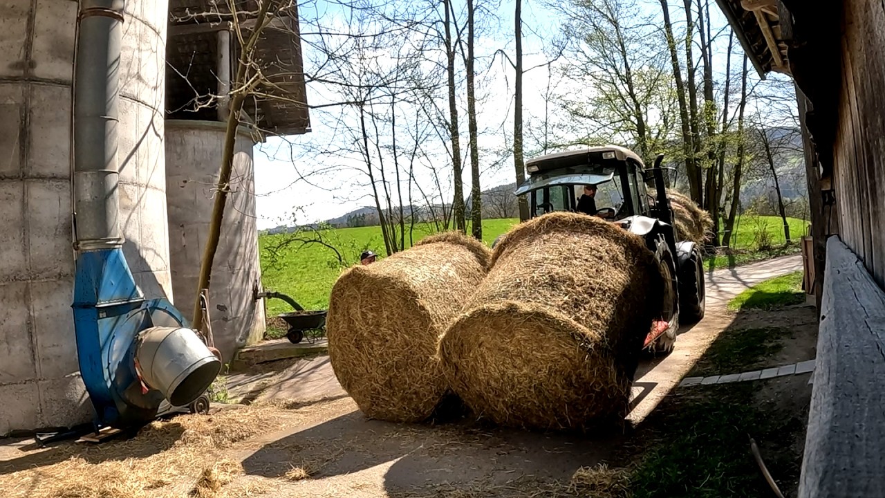 Busy Week on a Small Dairy Farm