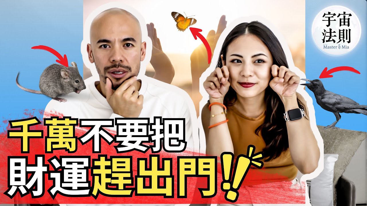 這7種動物不請自來「是吉兆」千萬不要把財運趕出門！動物靈性極強，千萬不要傷害！【Master Sri Akarshana & 鄭米雅】