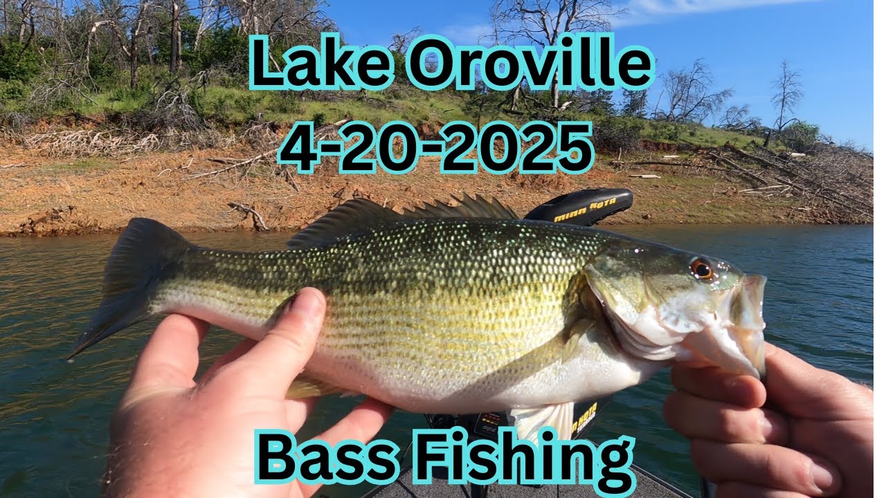 Lake Oroville Bass Fishing April 20, 2025