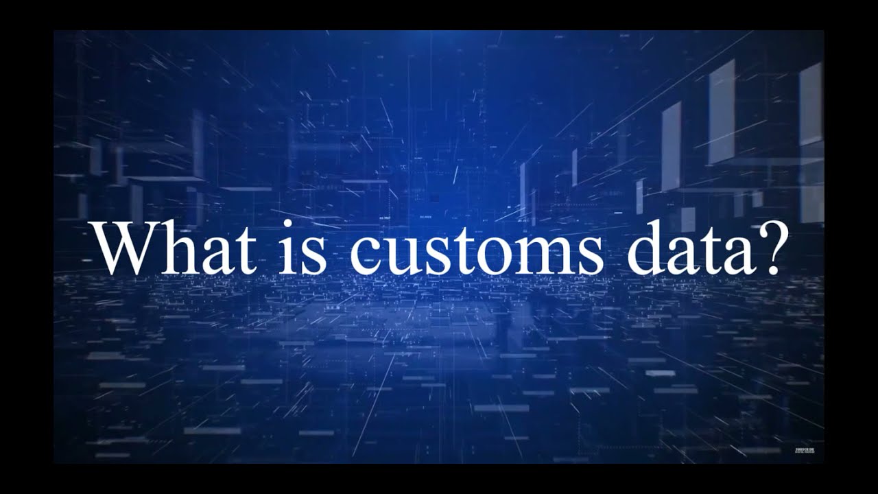 what is customs data?
