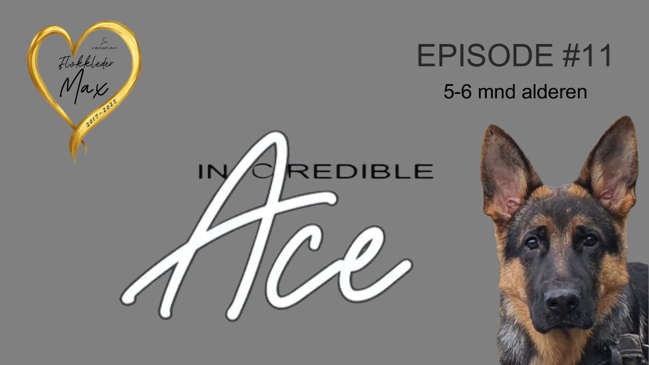 Max & Ace Episode #11