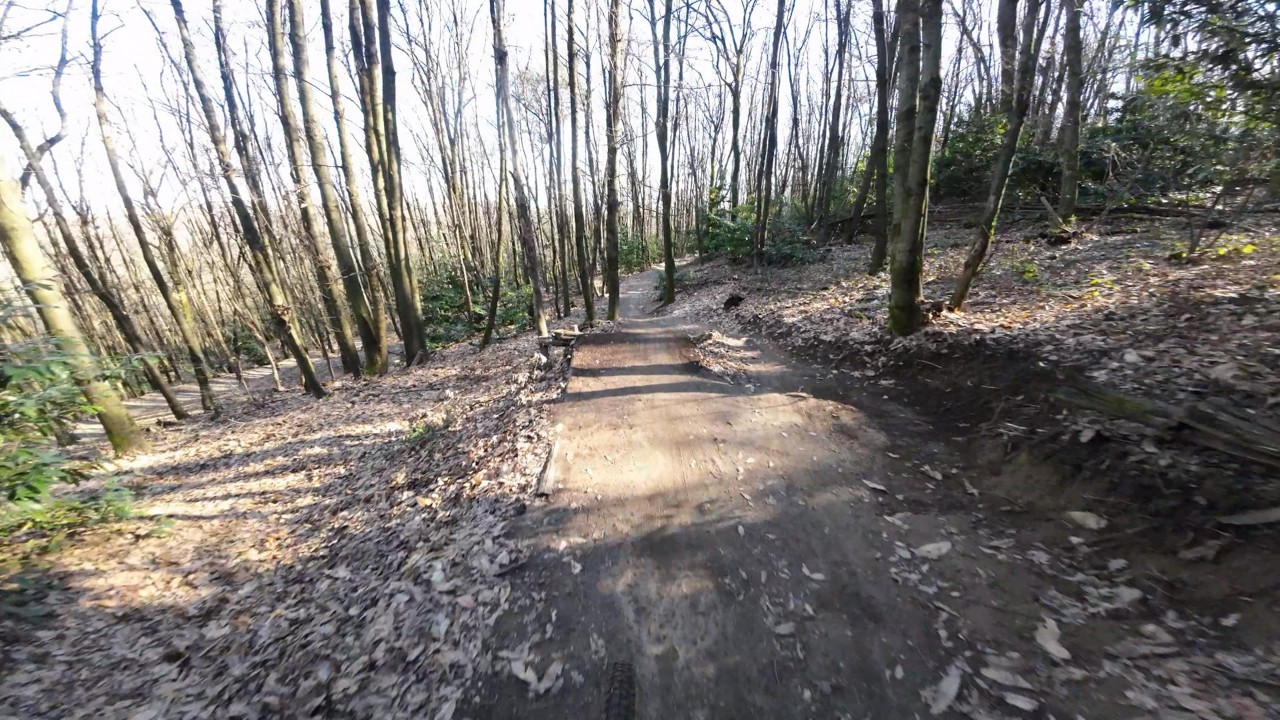 In Esplorazione tra i sentieri di Vertemate... davvero divertenti! 🌲🚴‍♂️