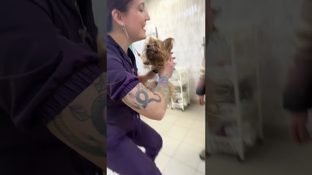 Отвезли хвостиков наводить красоту 😍
