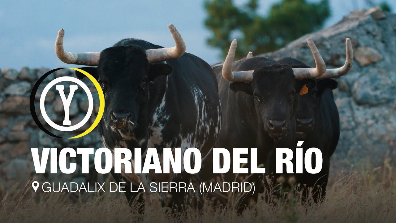 Descubre la ganader&iacute;a de Victoriano del R&iacute;o, en la sierra de Madrid
