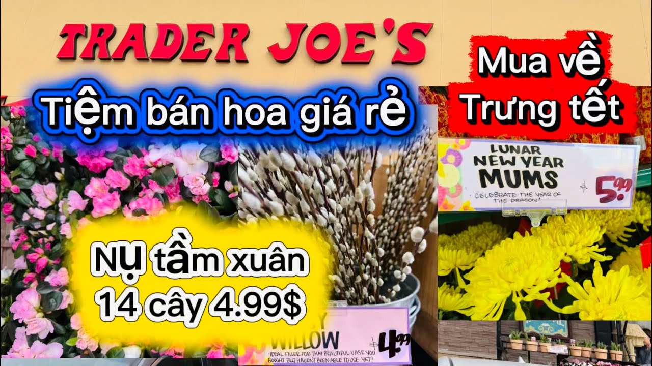 #274🇺🇸 Tiệm bán hoa giá rất rẻ $ 👍🌸🌹￼ mua về trưng  tết￼🌺🌹🌸🥰