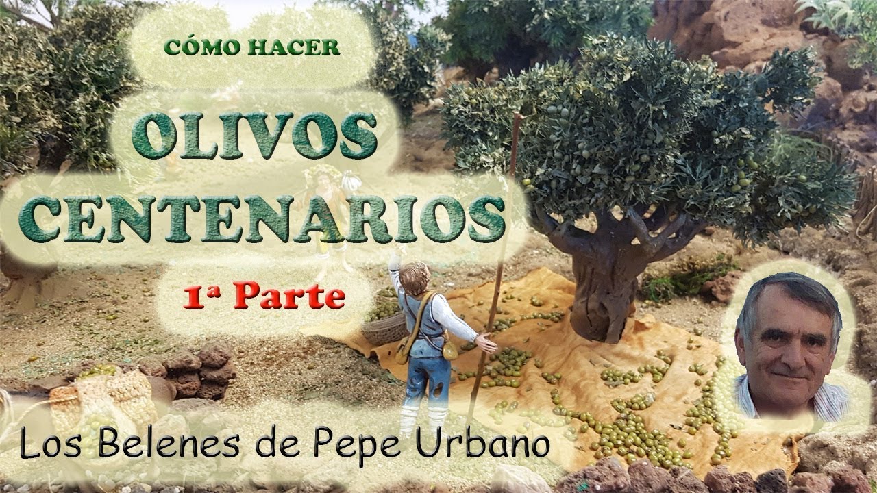 CÓMO HACER OLIVOS CENTENARIOS 1ª PARTE
