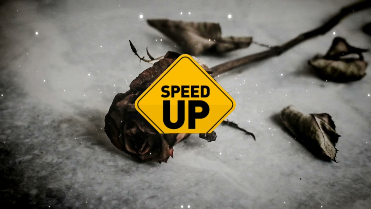 Sezen Aksu - Geri Dön SPEED UP