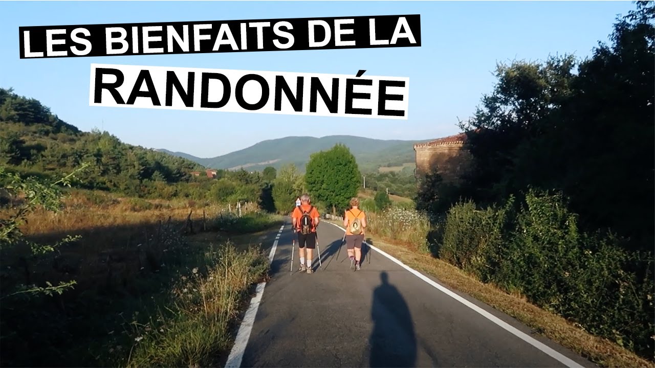Les bienfaits de la randonnée