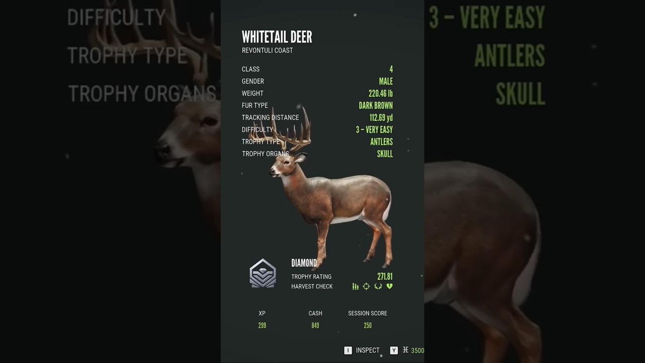 Огромный 💎 белохвостый олень #thehuntercallofthewild #gunnation #gaming #tiktok #shorts