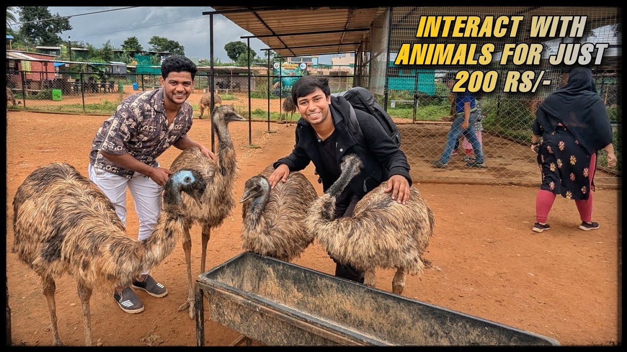 Bangalore birds of Paradise experience a place where you can truly connect with animals #animals