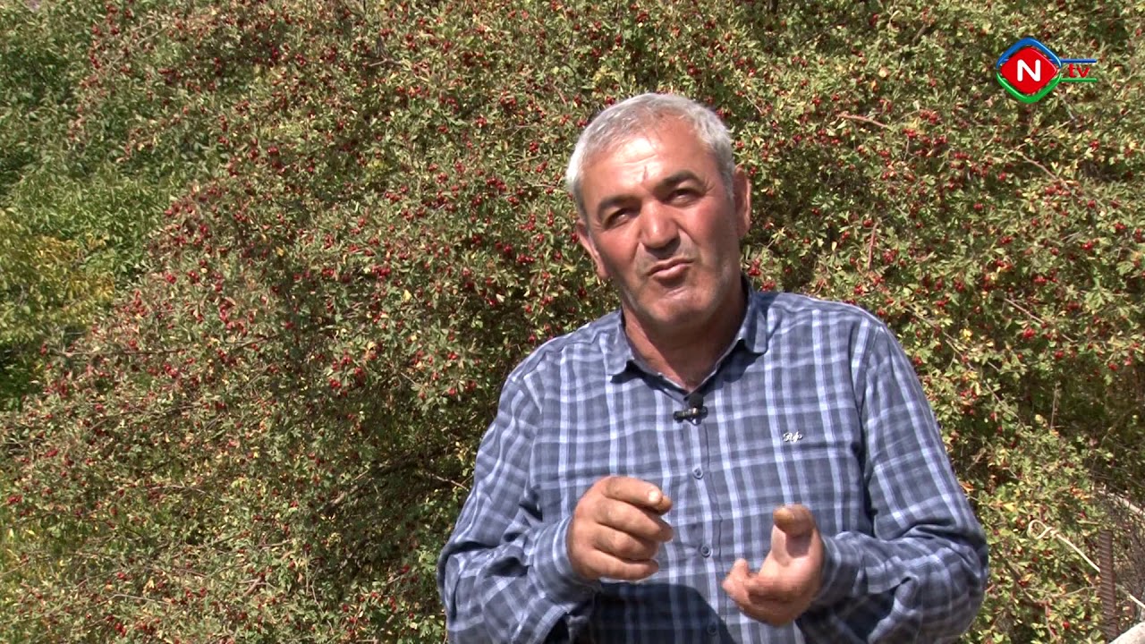 Zəhmətkeş-Qızıl Qışlaq kəndi
