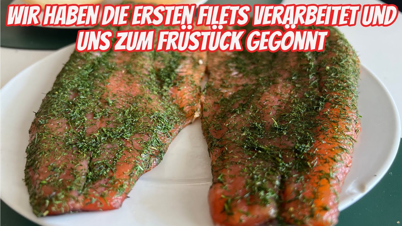 Lachsforellen verarbeiten zum Graved Lachs