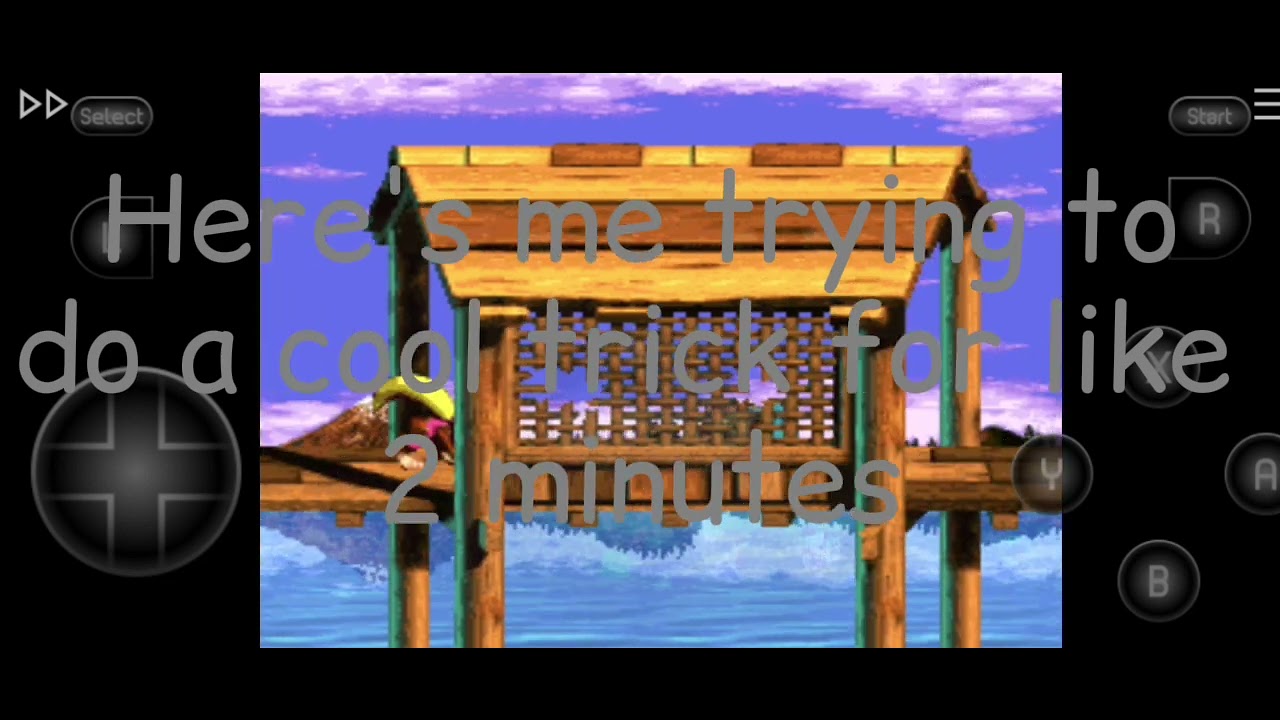 Random DKC3 gameplay edit? 