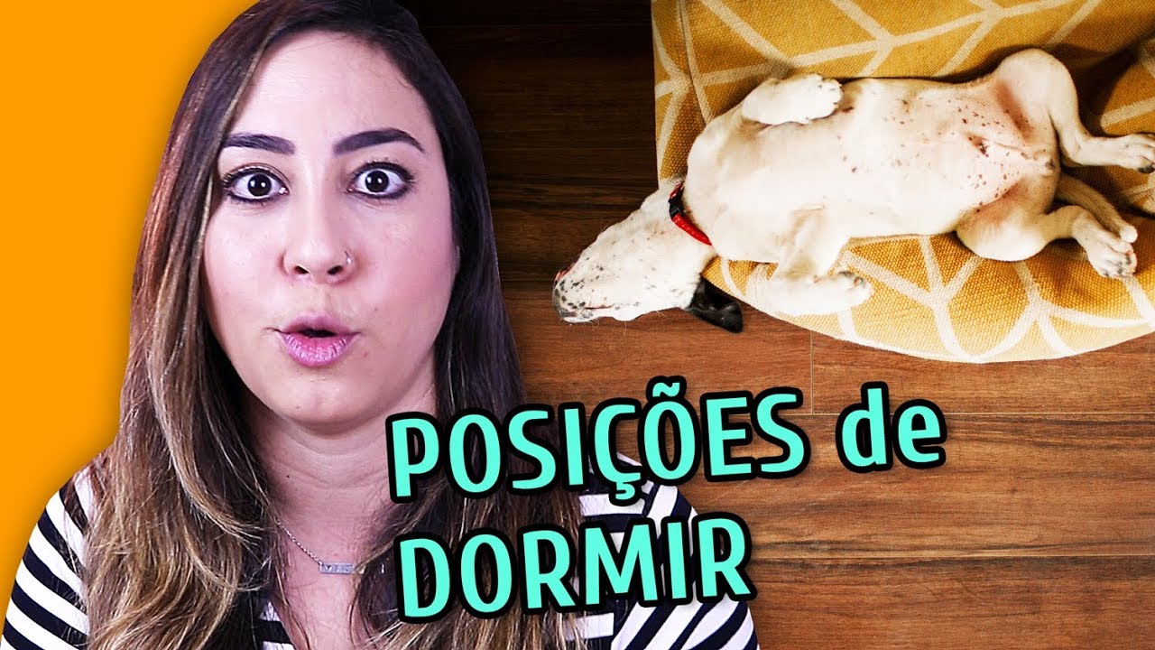 A POSIÇÃO QUE SEU CACHORRO DORME REVELA MUITO SOBRE ELE!