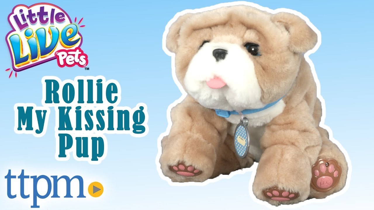 Little Live Pets Rollie My Kissing Puppy from Moose Toys