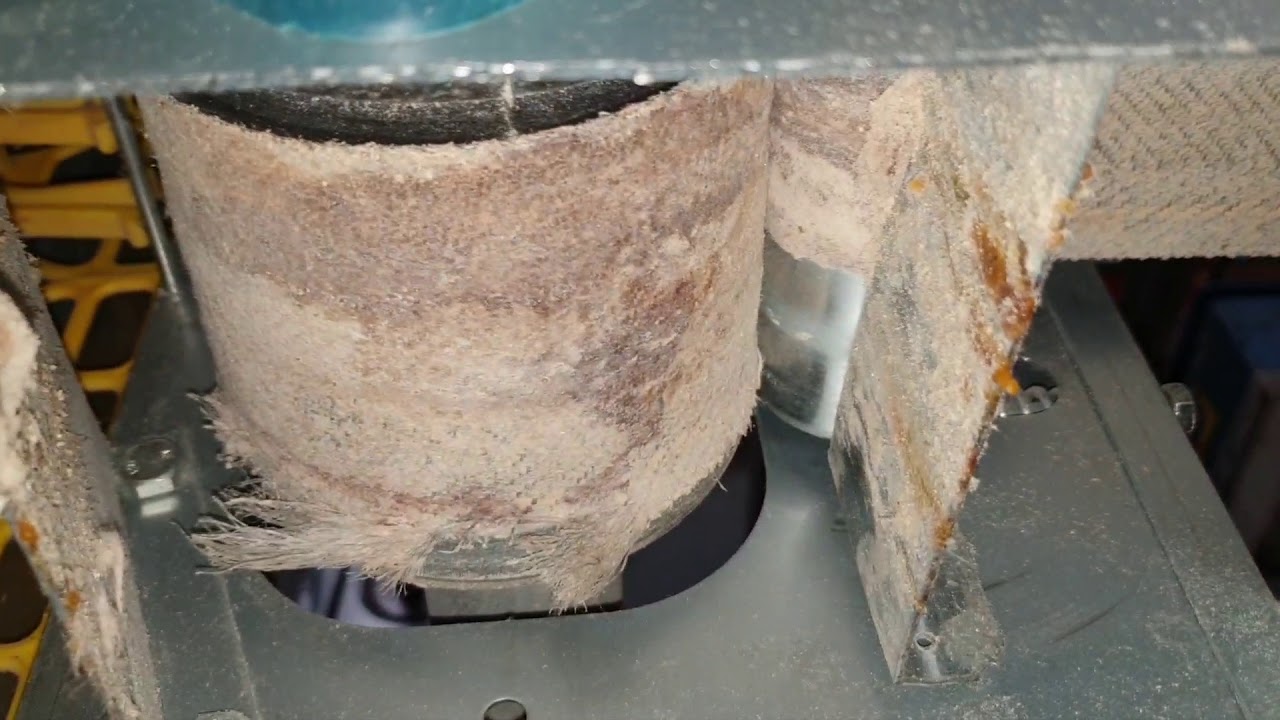 Recolector de huevo tracción cintas con goma 2019. Aquí está adaptado a un sistema Noria