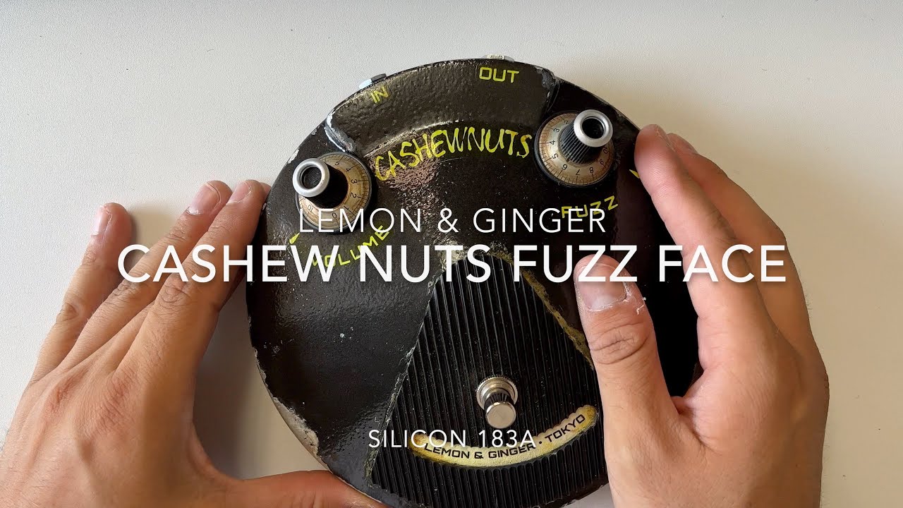THE ULTIMATE SILICON FUZZ FACE? LEMON&GINGER CASHEWNUTS BC183A