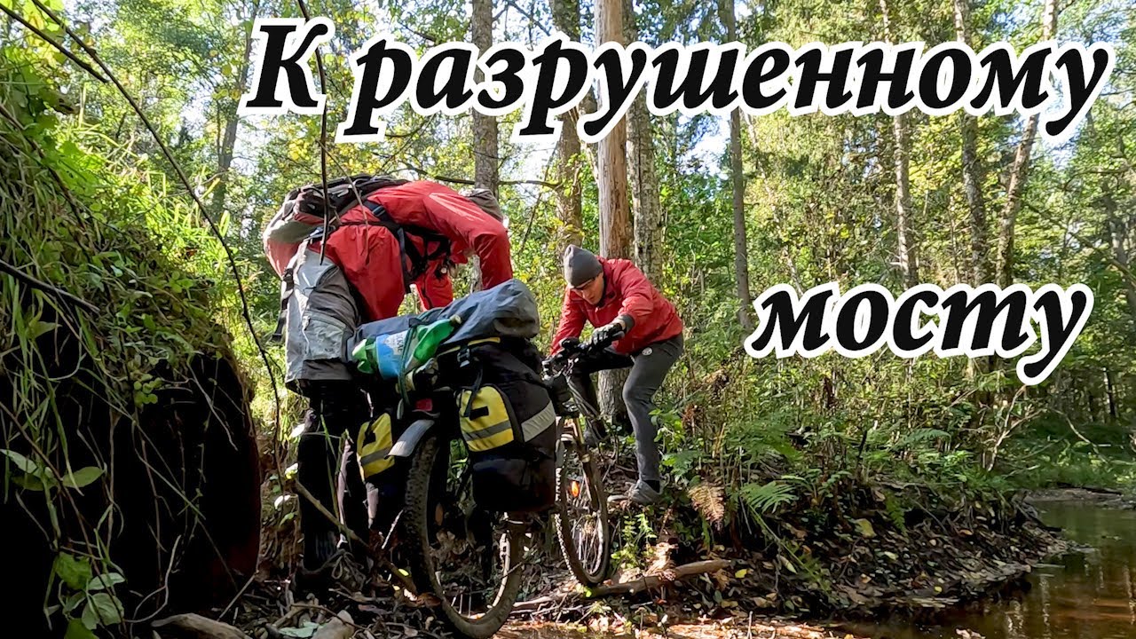 Три дня по заказнику Красный бор, выживаем))... как можем. #витебск #велосипедный #велотуризм