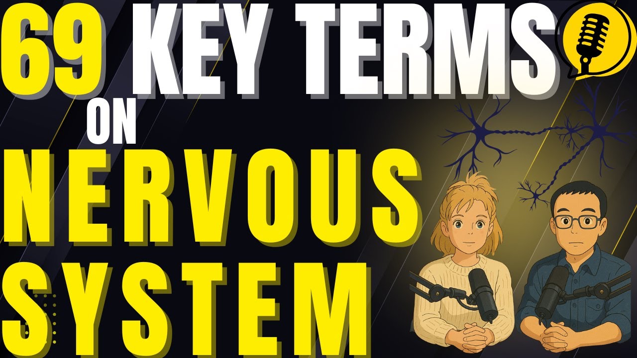 Nervous System: Key Medical Terms; Terminology Podcast; USMLE CCHI CHI NBCMI CMI RN NCLEX ECFMG Exam