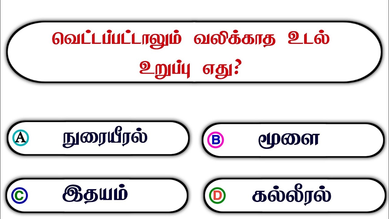 Interesting கேள்விகள் in Tamil GK | GK Q&A | General knowledge | GK quiz | GK Questions