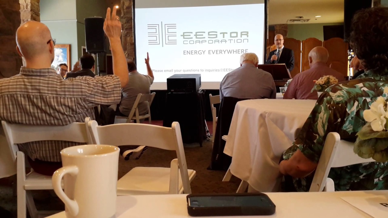2017 AGM Eestor