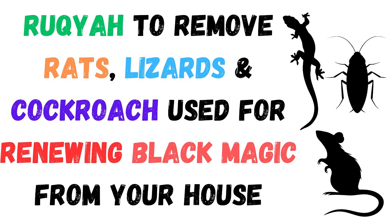 Ruqyah to remove Rats, Lizards & Cockroach used for renewing Black Magic from your house