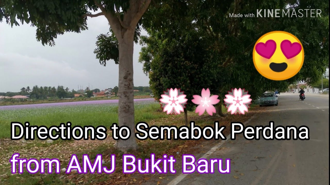Melaka Attraction 2020 | Melaka Sakura | Directions to Semabok Perdana