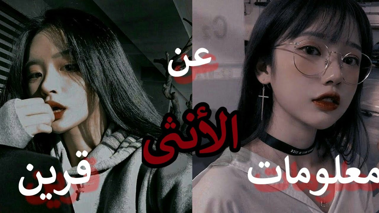 30 معلومه عن قرين الانثى ستصدمك