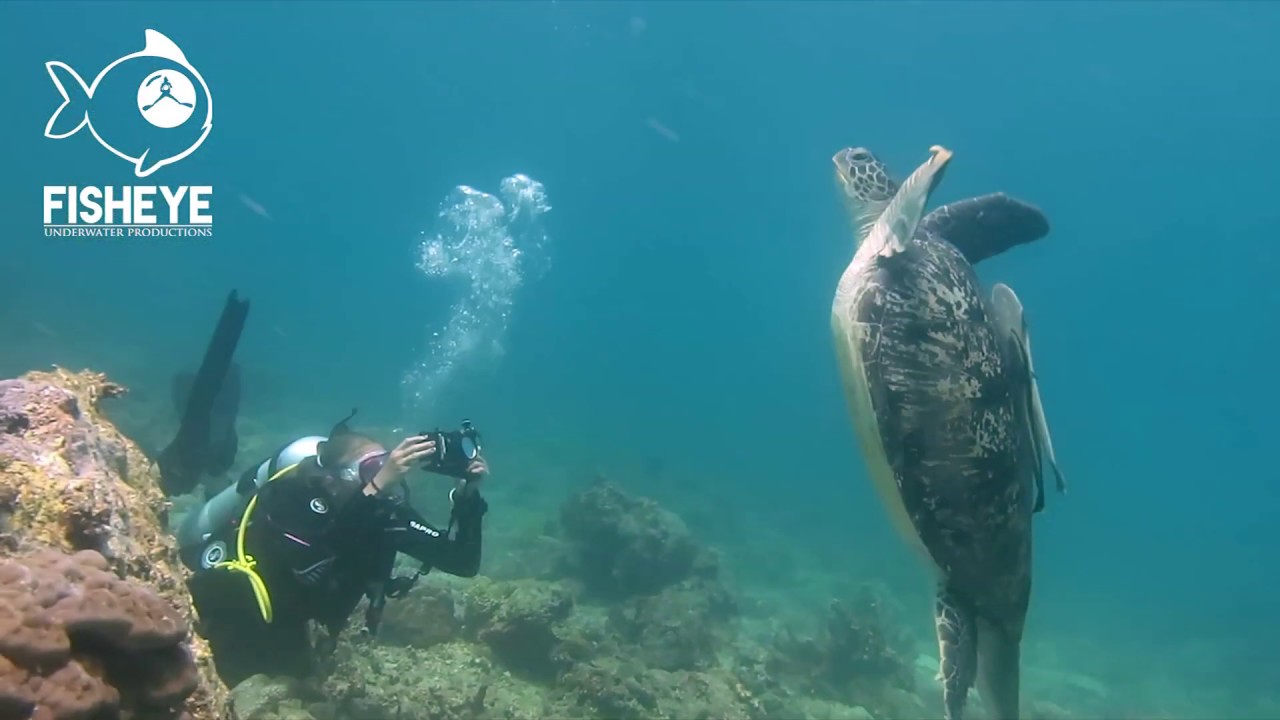 Pro Underwater Videography Course