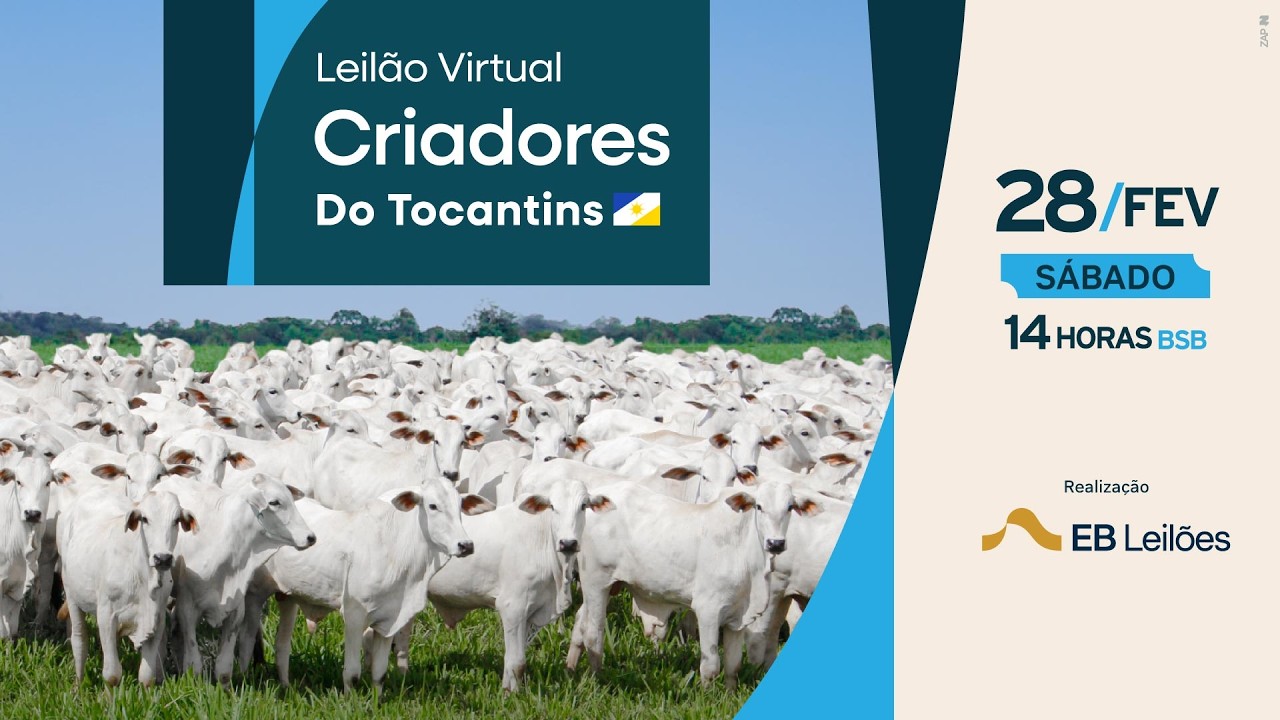 28/02 - LEILÃO VIRTUAL CRIADORES DO TOCANTIS