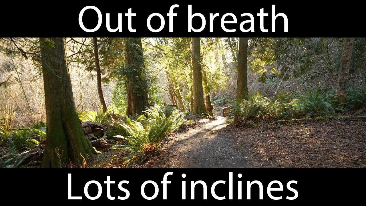 A section of Chambers Creek North, anamorphic widescreen, 4K, 24fps, some ASMR
